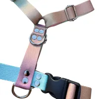 pretal en H sublimado XL-XXL 25mm