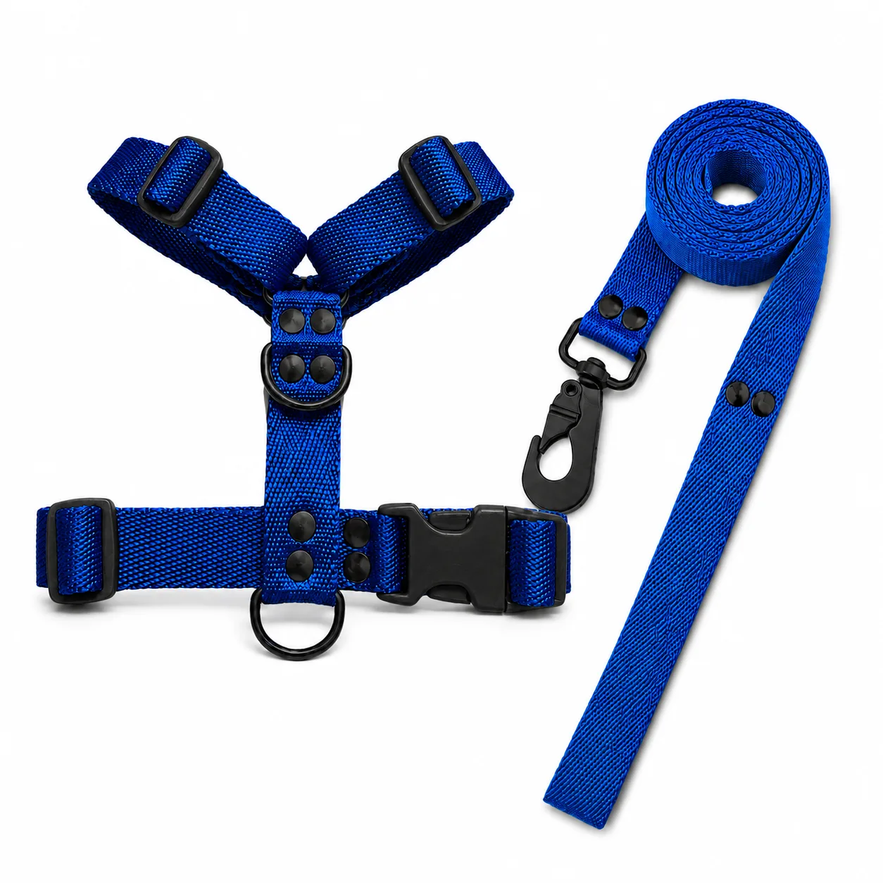 Azul Black