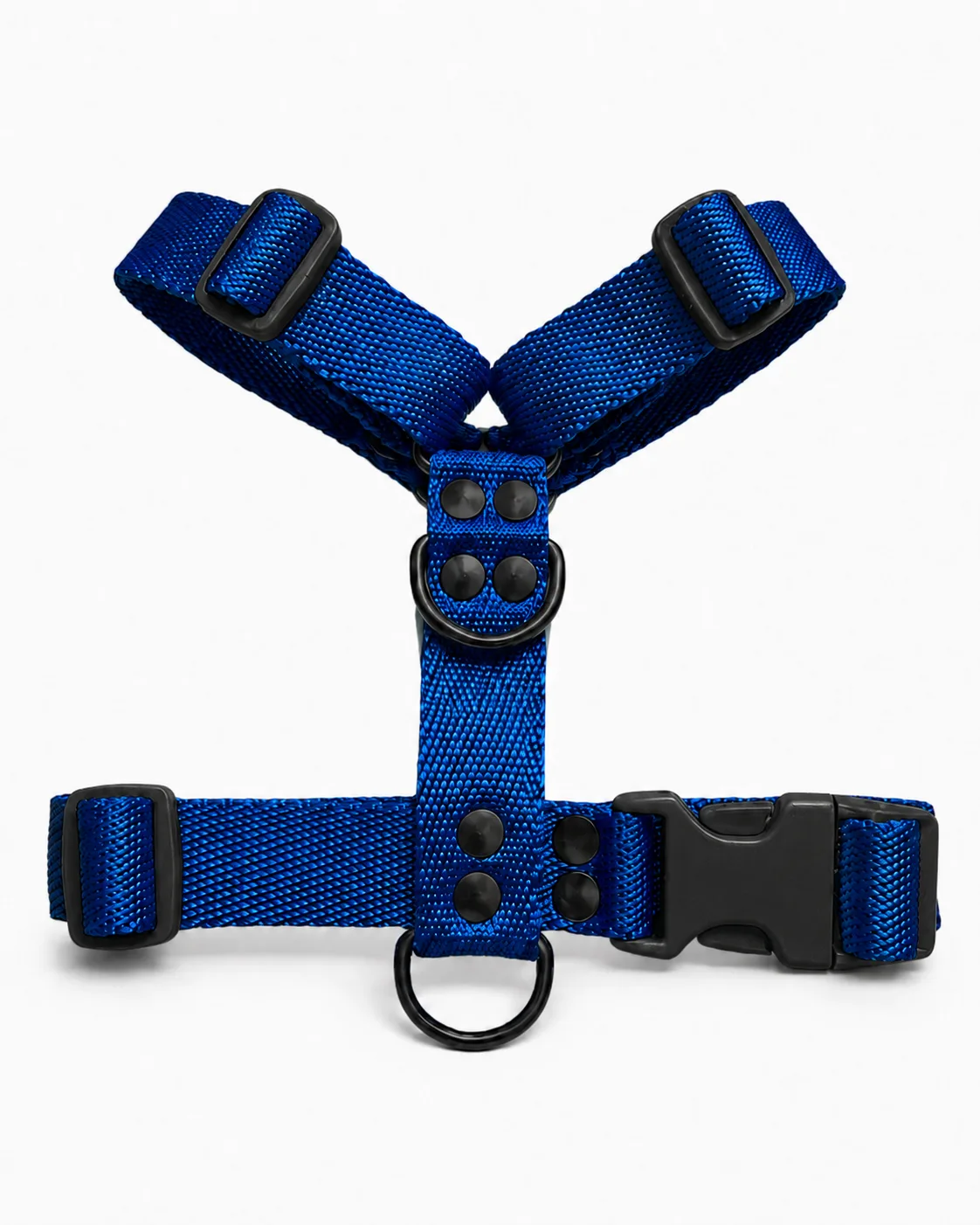 Azul Black