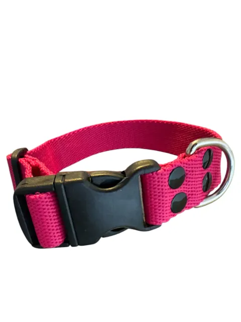 Collar Liso Regulable N3- 25mm