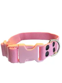 Collar Regulable N5 25mm - Liso Full Color