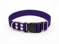 Violeta