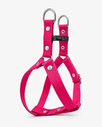 Fucsia