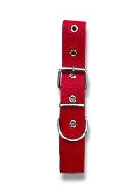 collar n2 25mm - 44cm