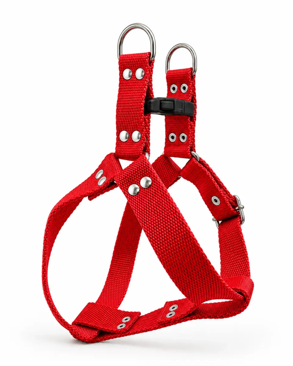 Rojo