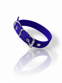 collar N0 15mm - 32cm