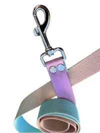 correa Sublimada 3Mts - 25mm