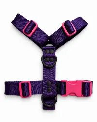 Violeta
