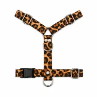 Animal Print