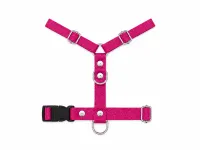 Fucsia