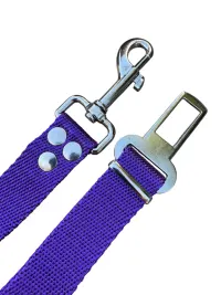 Violeta