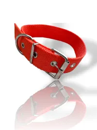 collar n2 25mm - 44cm