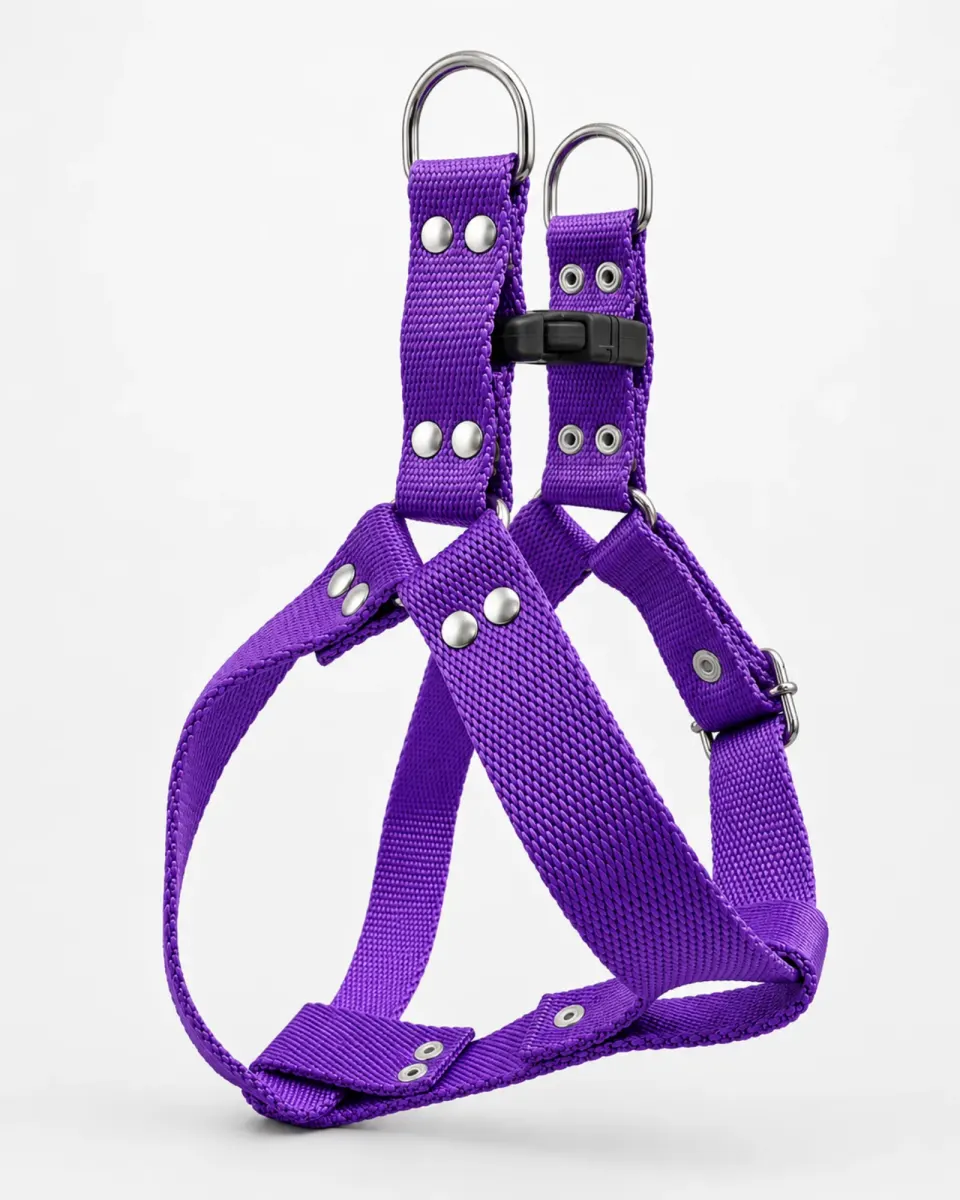 Violeta
