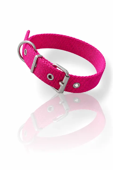Fucsia