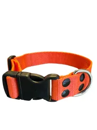 Collar Regulable N5 25mm - Liso Full Color