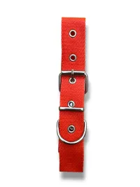 collar n2 25mm - 44cm