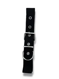 collar n2 25mm - 44cm