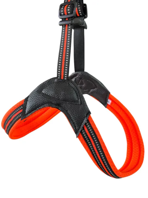 Naranja
