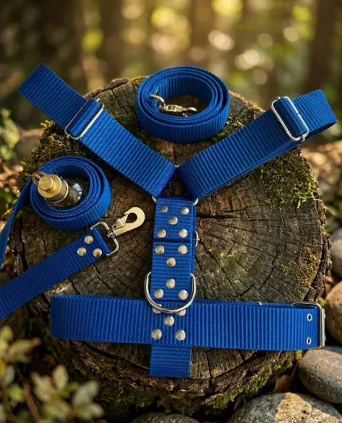 Azul