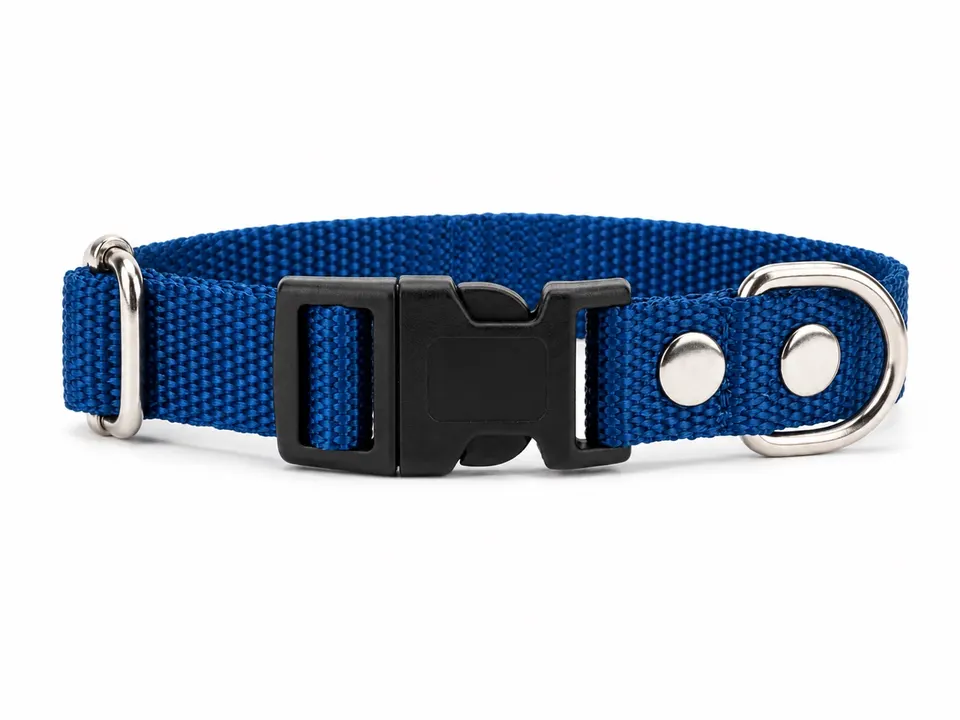 Collar Liso Regulable N1- 15mm