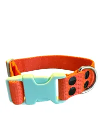 Collar Regulable N5 25mm - Liso Full Color