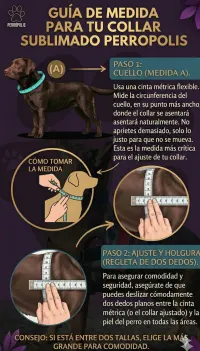 collar n2 25mm - 44cm