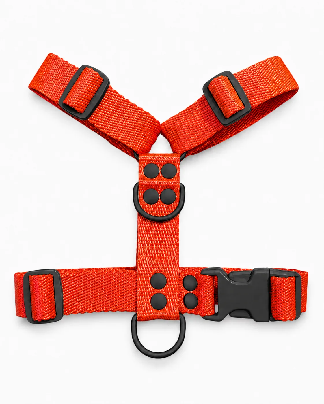 Naranja Black