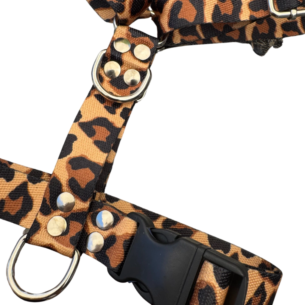 Animal Print