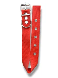 collar n2 25mm - 44cm
