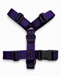 Violeta Black