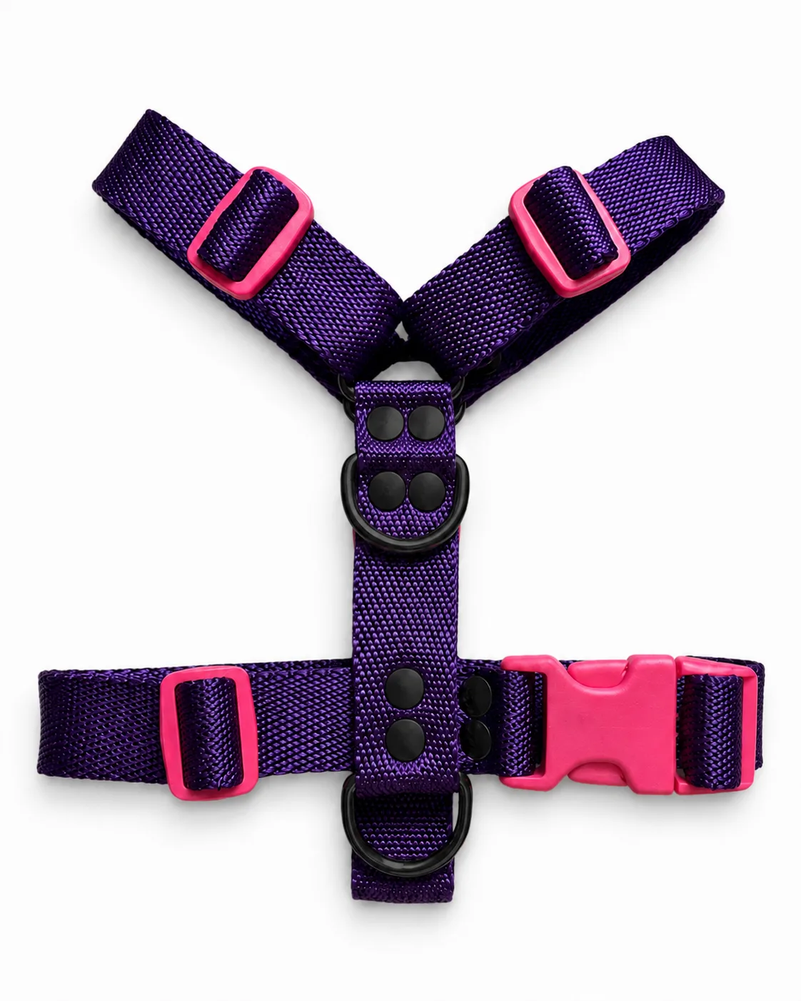 Violeta