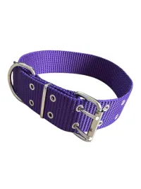 Violeta