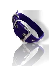 Violeta
