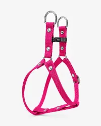 Fucsia