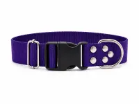 Violeta