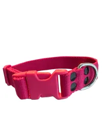 Collar Regulable N5 25mm - Liso Full Color