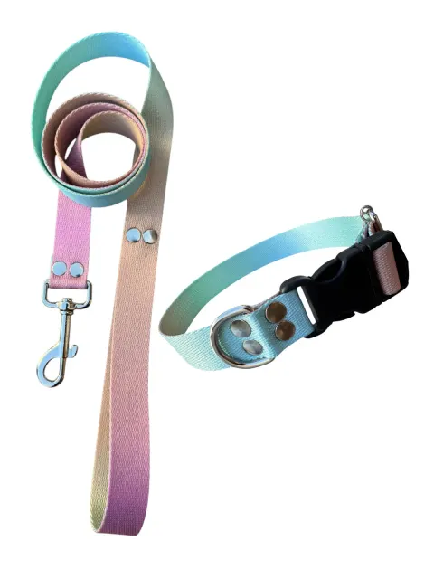 Conjunto Collar Sublimado + Correa Sublimada