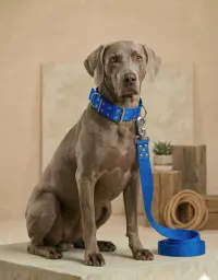 Azul